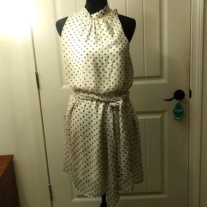 Never worn with tags Sweet Pea's by Stacy Frati  Large size dresss